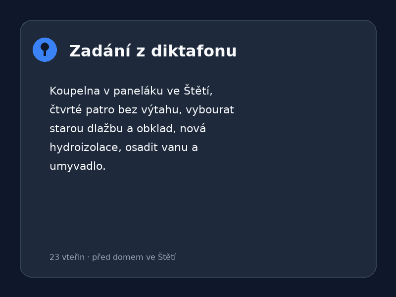 Náhled: Nadiktoval jsem zadání